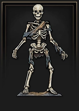 Skeleton